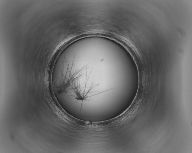 X0000112361356200908131446