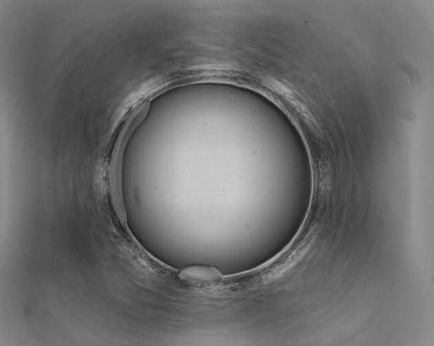 X0000112361357200908131446