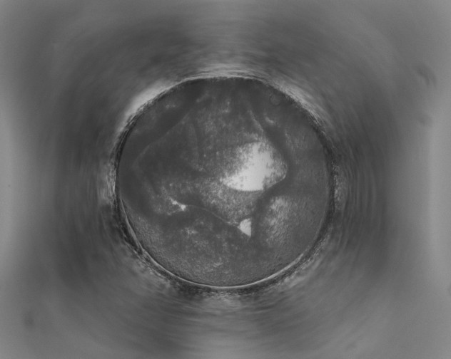 X0000112361358200908131446