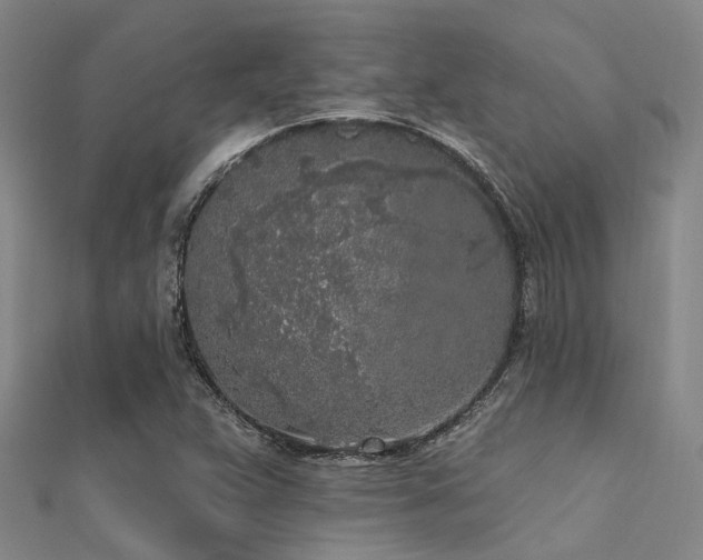 X0000112361359200908131446