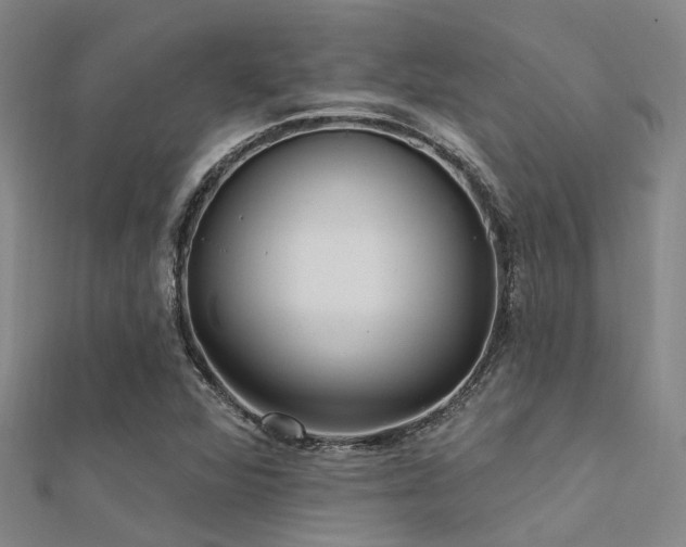 X0000112361360200908131446