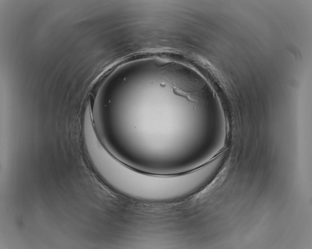 X0000112361361200908131446