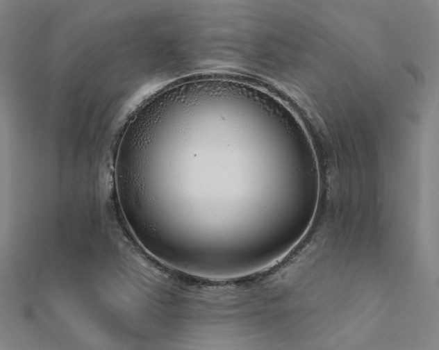 X0000112361363200908131446
