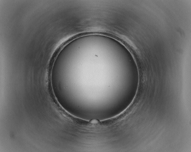 X0000112361364200908131446