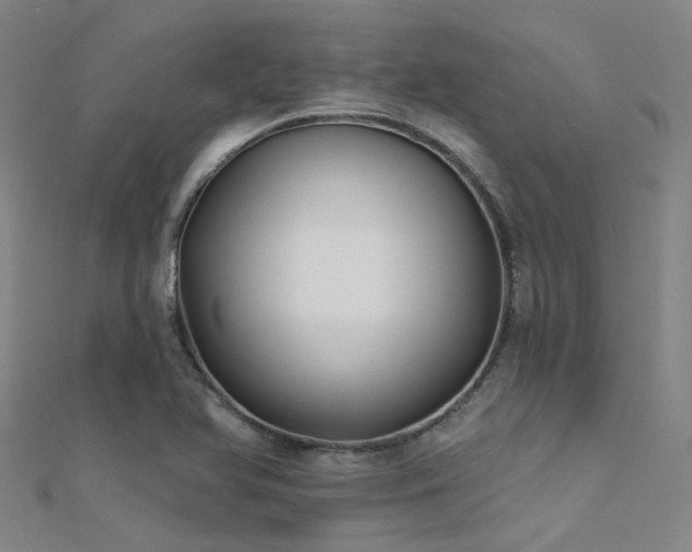 X0000112361366200908131446