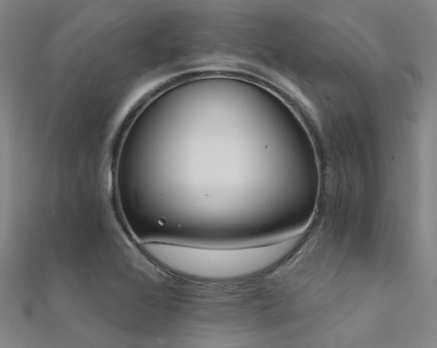 X0000112361368200908131446