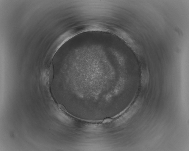 X0000112361369200908131446