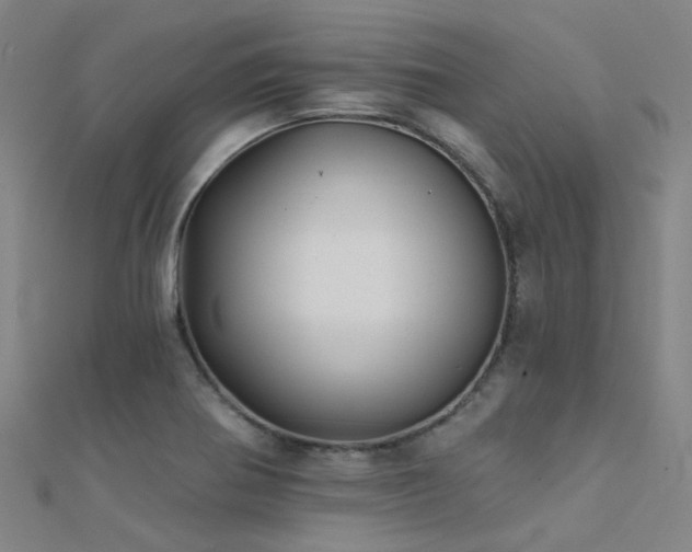 X0000112361370200908131446