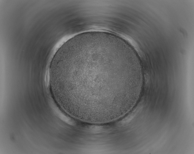 X0000112361371200908131446