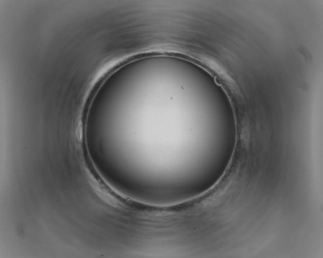X0000112361372200908131446