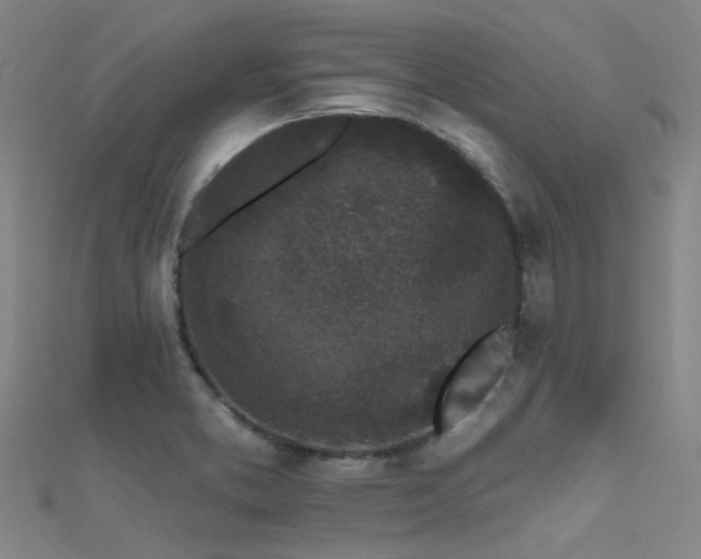 X0000112361373200908131446
