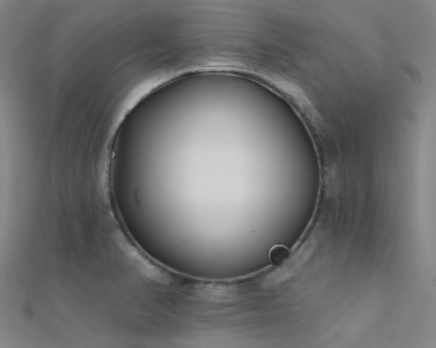 X0000112361374200908131446