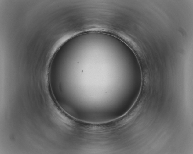 X0000112361375200908131446