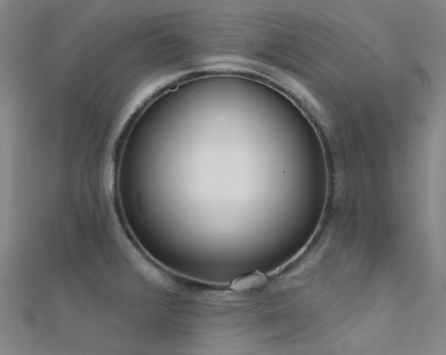 X0000112361376200908131446