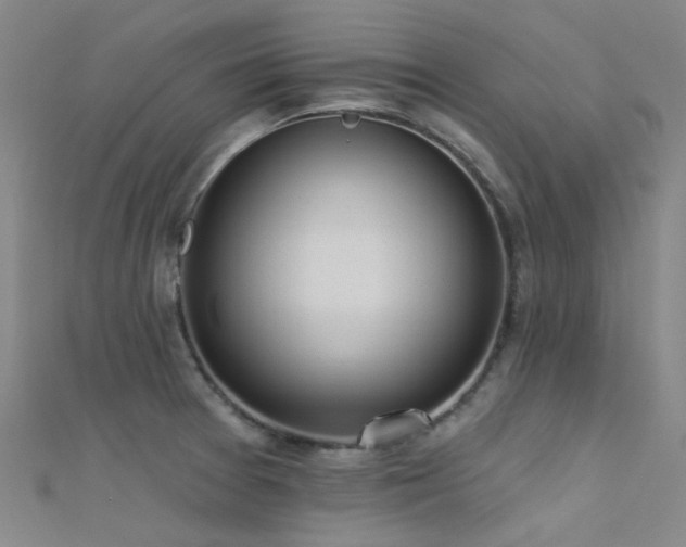 X0000112361377200908131446