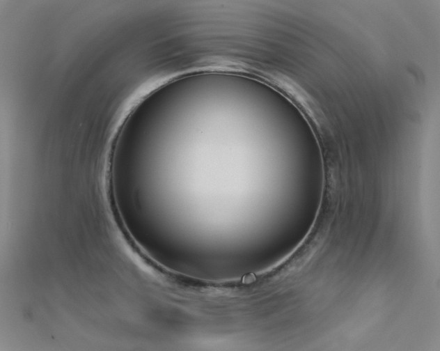 X0000112361379200908131446
