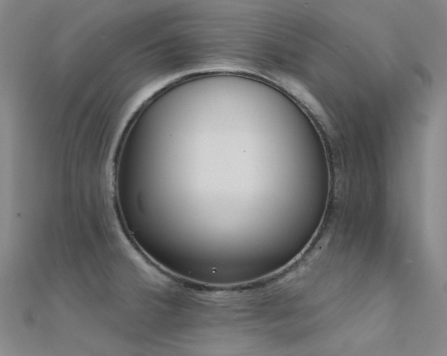 X0000112361380200908131446