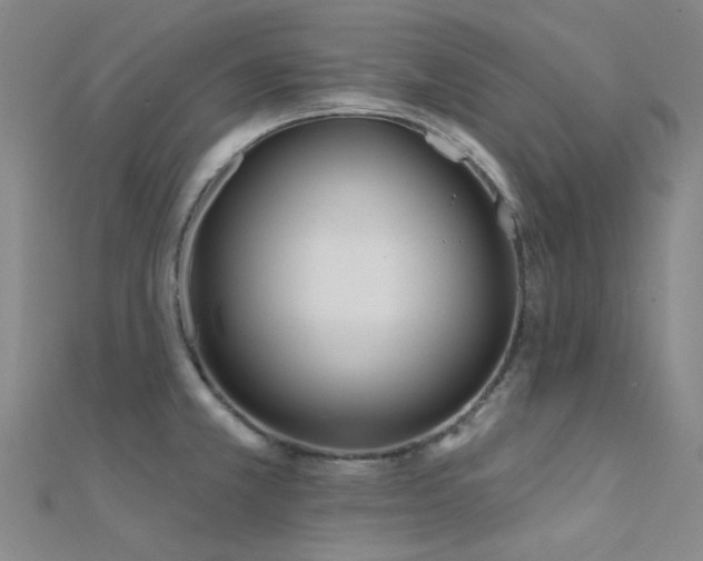 X0000112361381200908131446