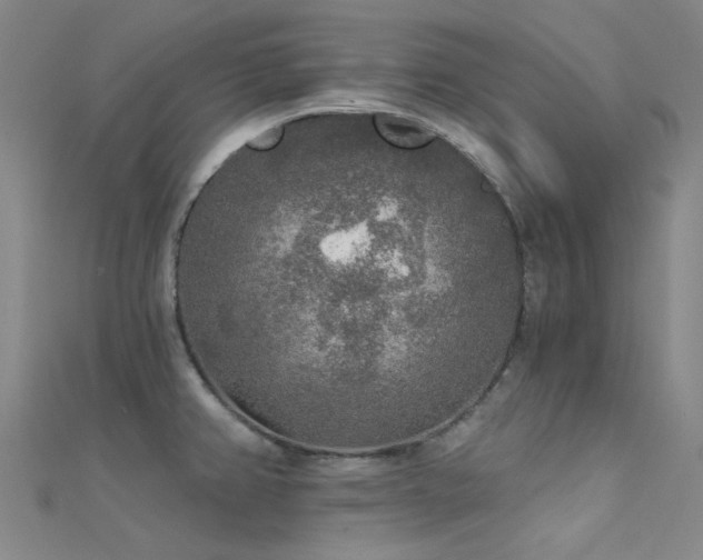 X0000112361382200908131446