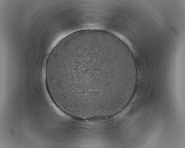 X0000112361383200908131446