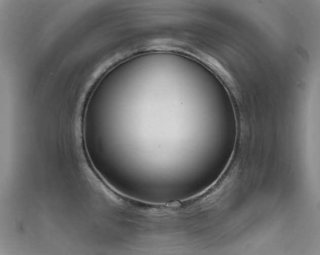 X0000112361384200908131446