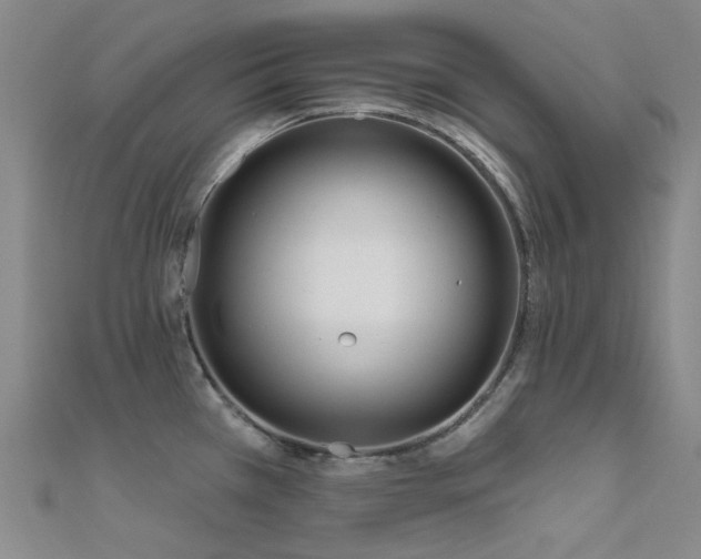 X0000112361385200908131446