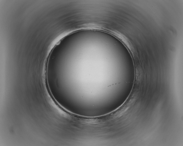 X0000112361387200908131446