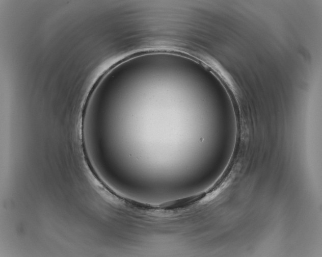 X0000112361388200908131446