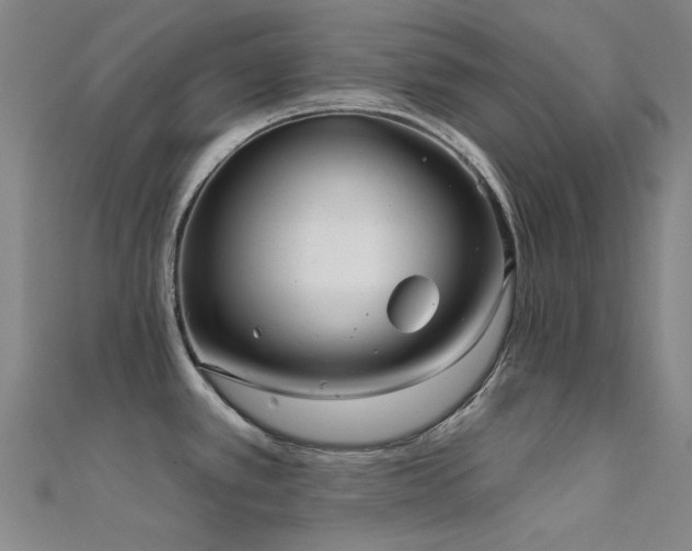 X0000112361389200908131446