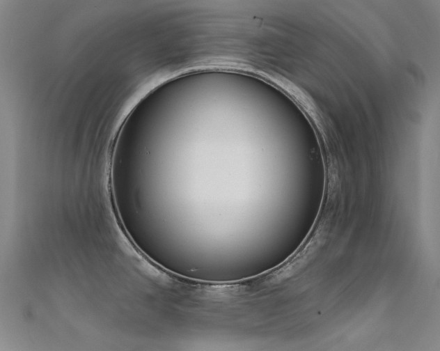 X0000112361390200908131446