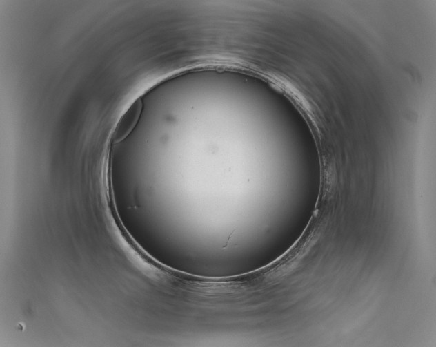 X0000112361391200908131446