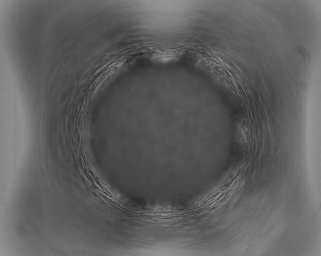 X0000112361393200908131445