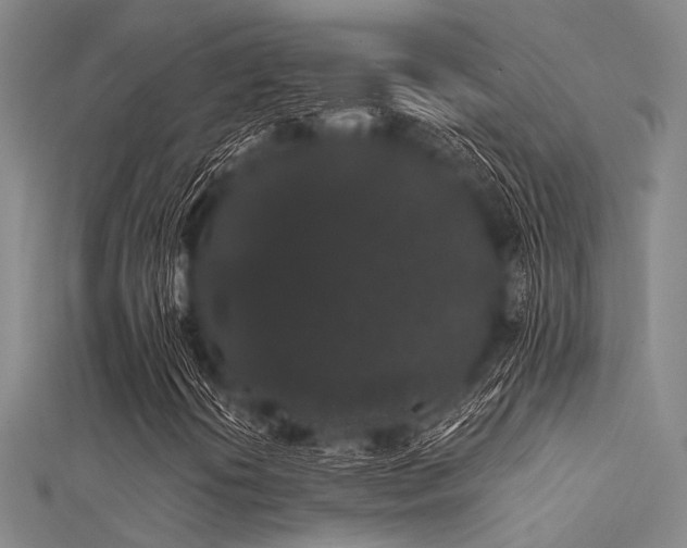 X0000112361394200908131445