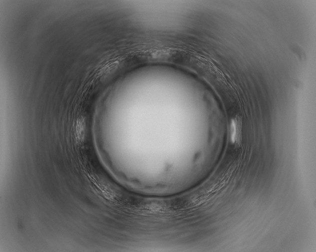 X0000112361395200908131445