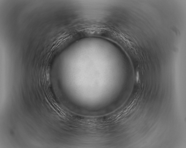 X0000112361396200908131445
