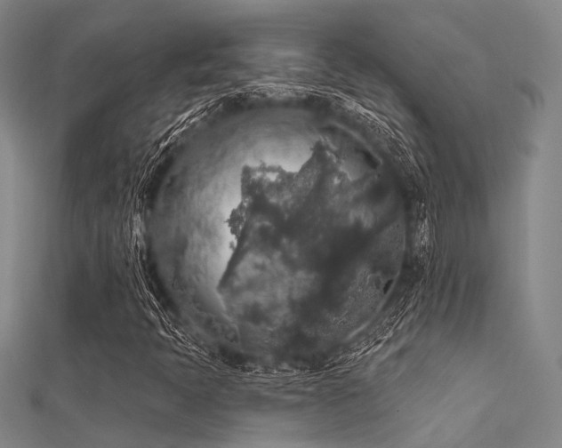 X0000112361397200908131445