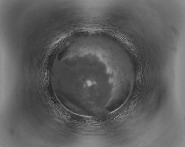 X0000112361398200908131445