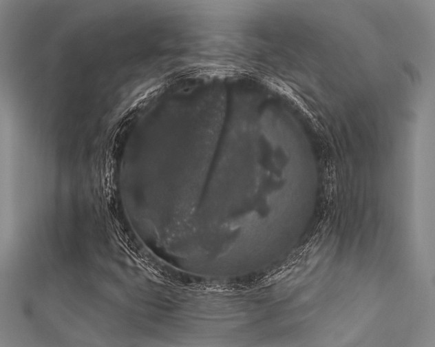 X0000112361399200908131445