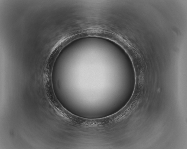 X0000112361400200908131445