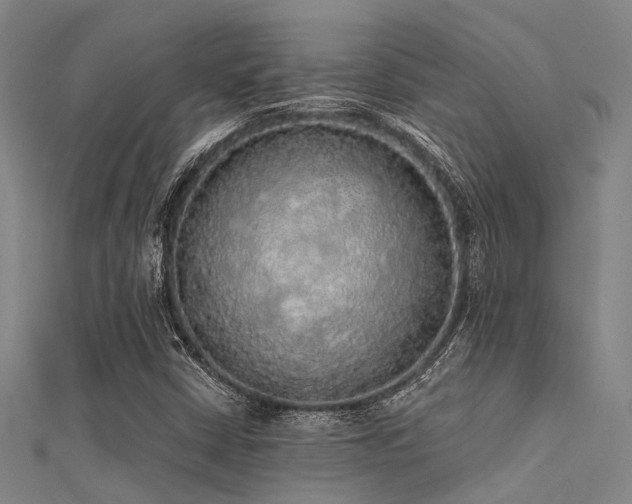 X0000112361402200908131445