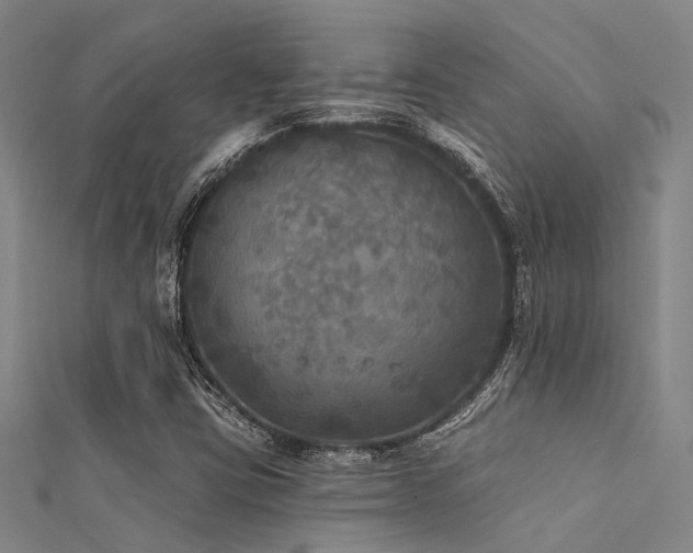 X0000112361403200908131445