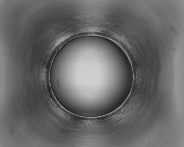 X0000112361404200908131445
