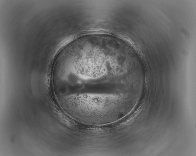 X0000112361405200908131445