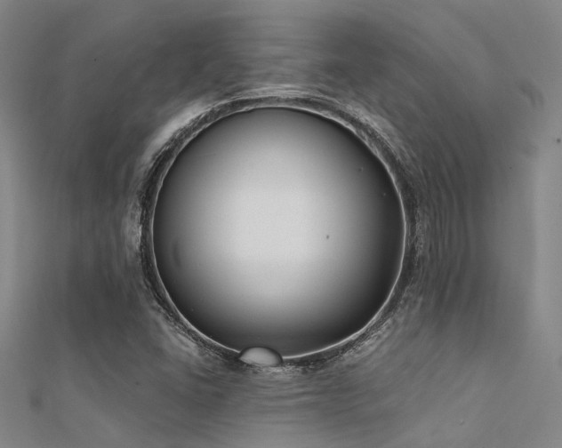 X0000112361406200908131445
