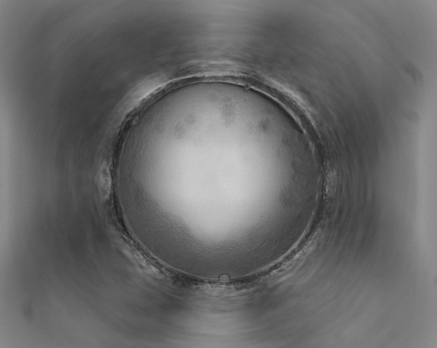 X0000112361407200908131445