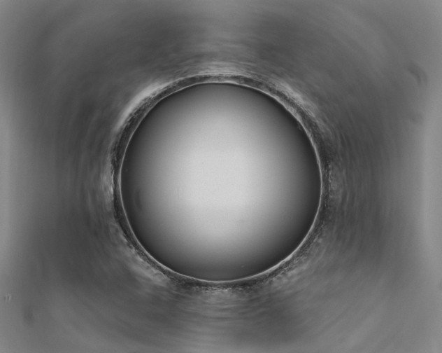 X0000112361408200908131445
