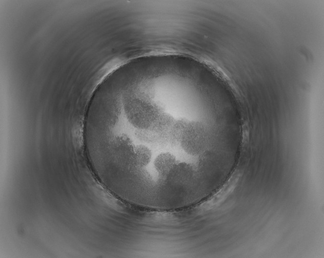 X0000112361409200908131445