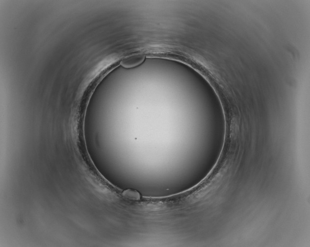 X0000112361410200908131445