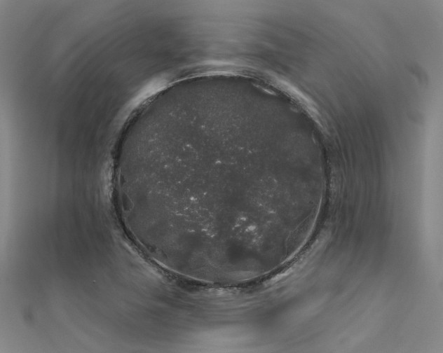 X0000112361411200908131445