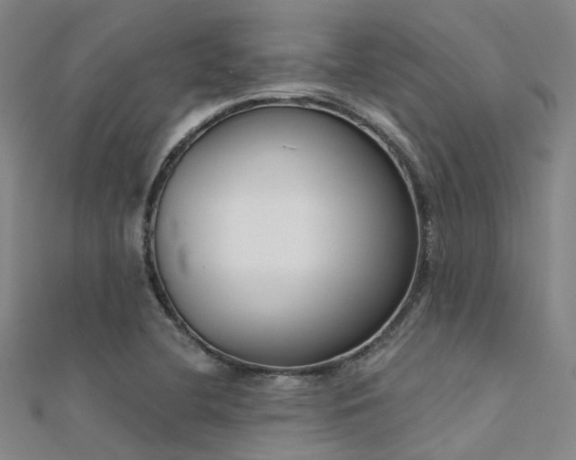 X0000112361412200908131445
